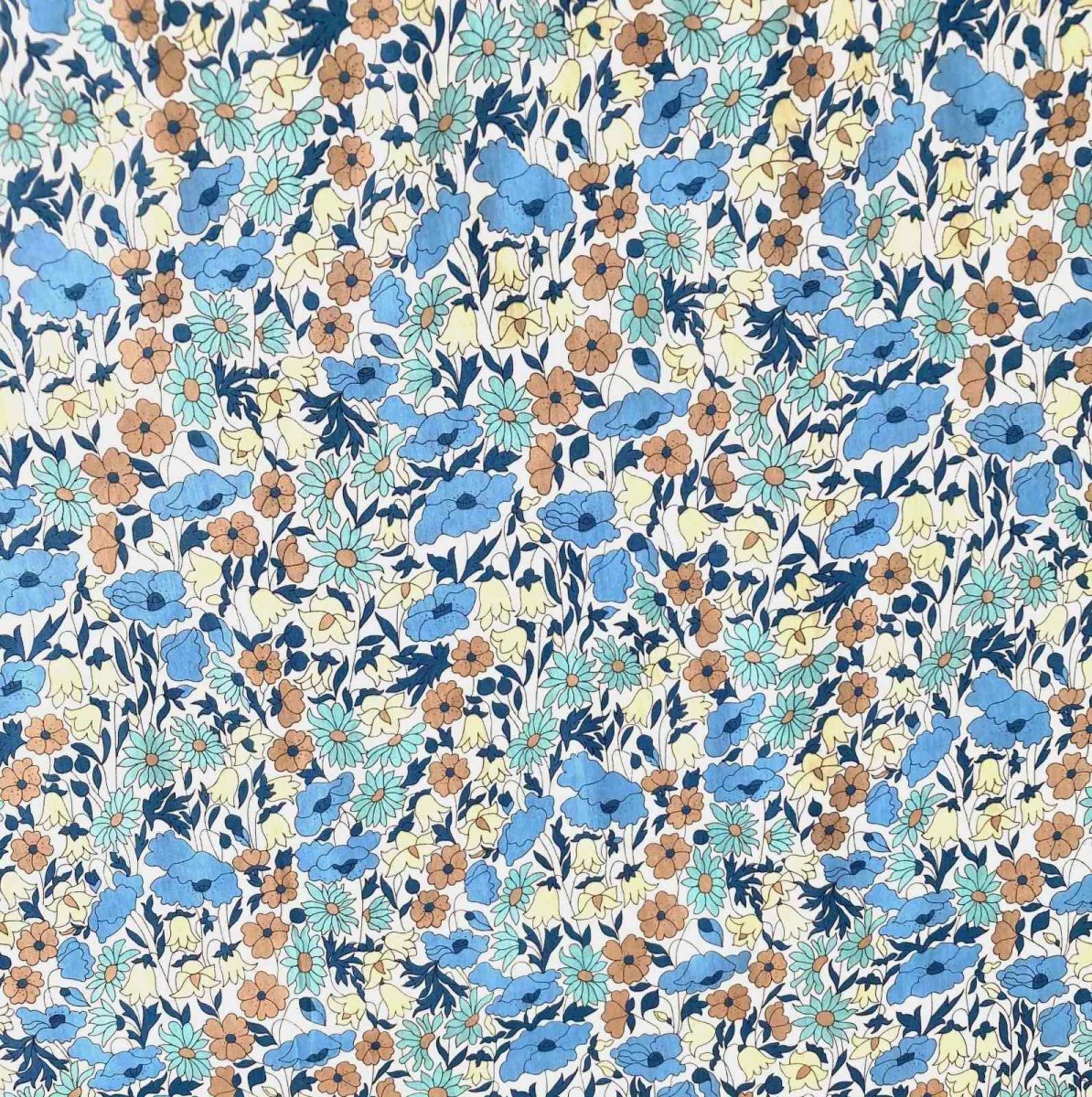 Photo2: Poppy and Daisy (2)