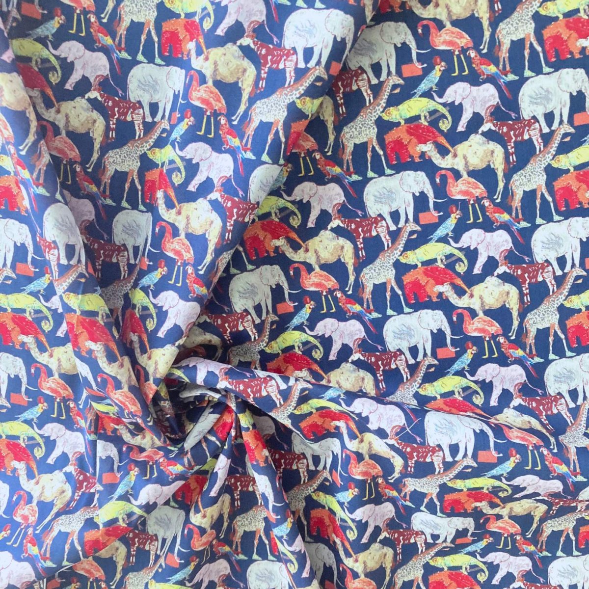 Photo4: Queue for the zoo (4)