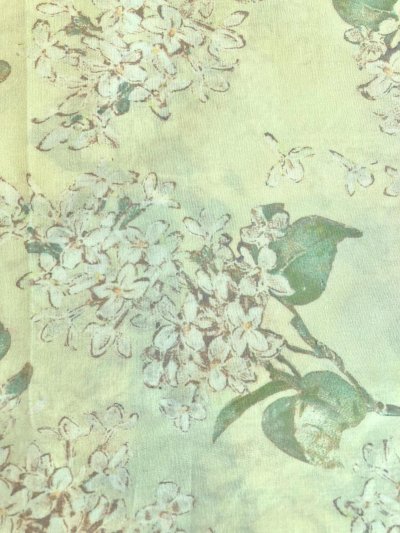 Photo3: Archive Lilac