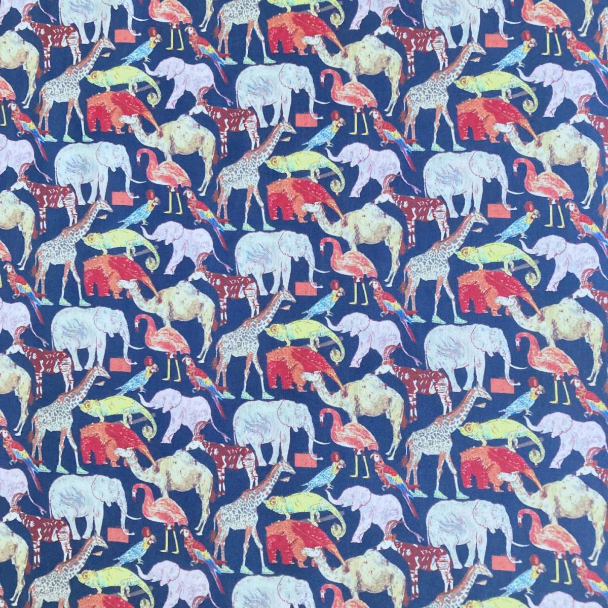 Photo2: Queue for the zoo (2)