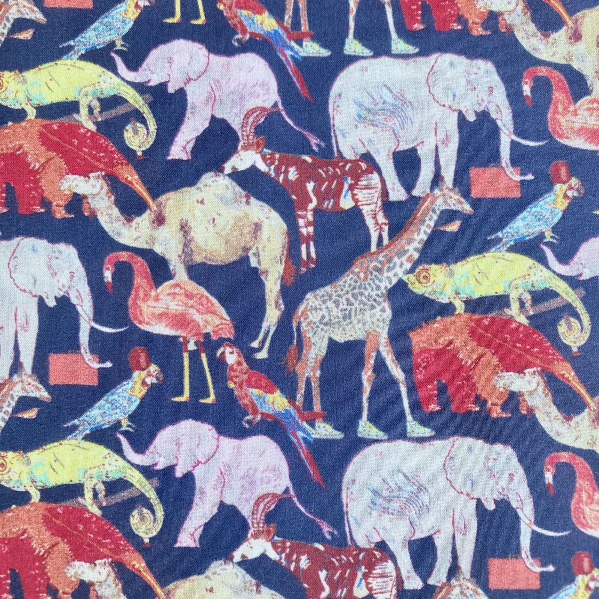 Photo1: Queue for the zoo (1)