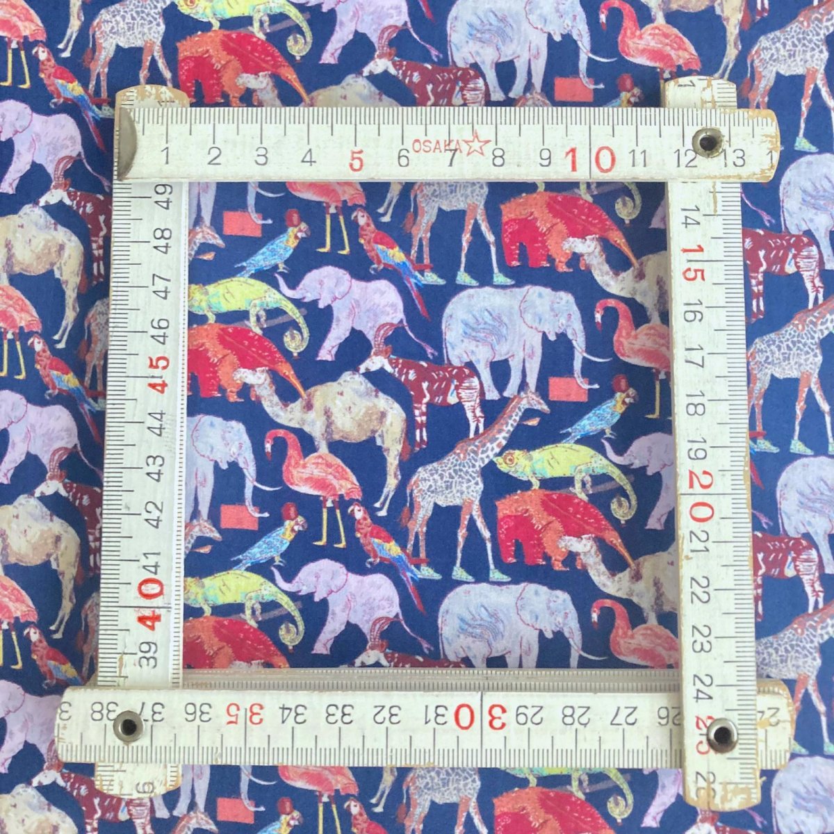 Photo3: Queue for the zoo (3)