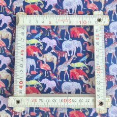 Photo3: Queue for the zoo (3)