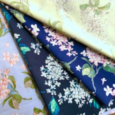 Photo1: Archive Lilac (1)