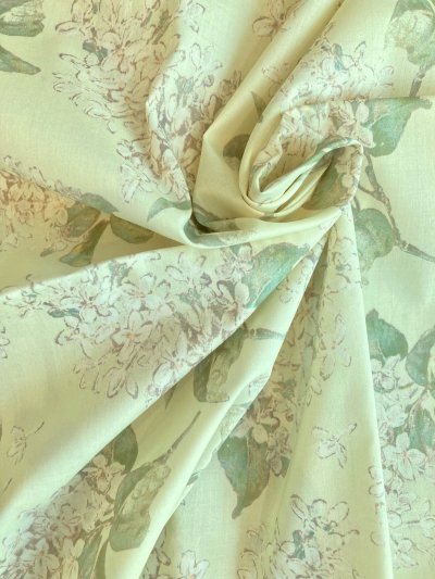 Photo1: Archive Lilac