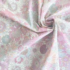 Photo4: Small Susanna (4)