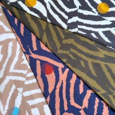 Photo1: Patchwork Zebra (1)