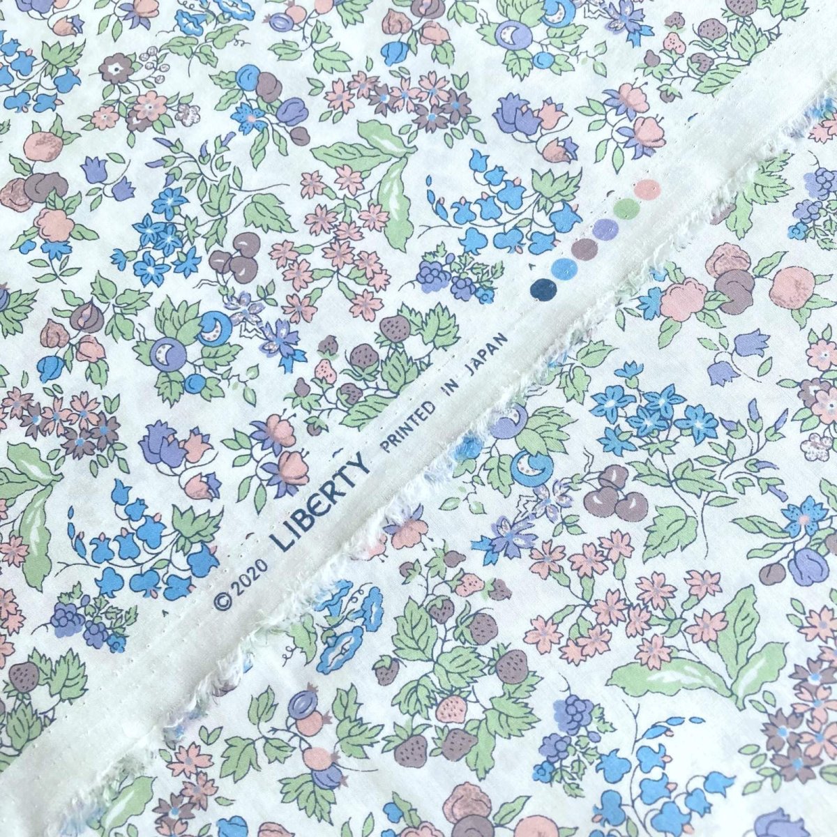 Photo2: Nancy Ann (2)