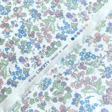 Photo2: Nancy Ann (2)