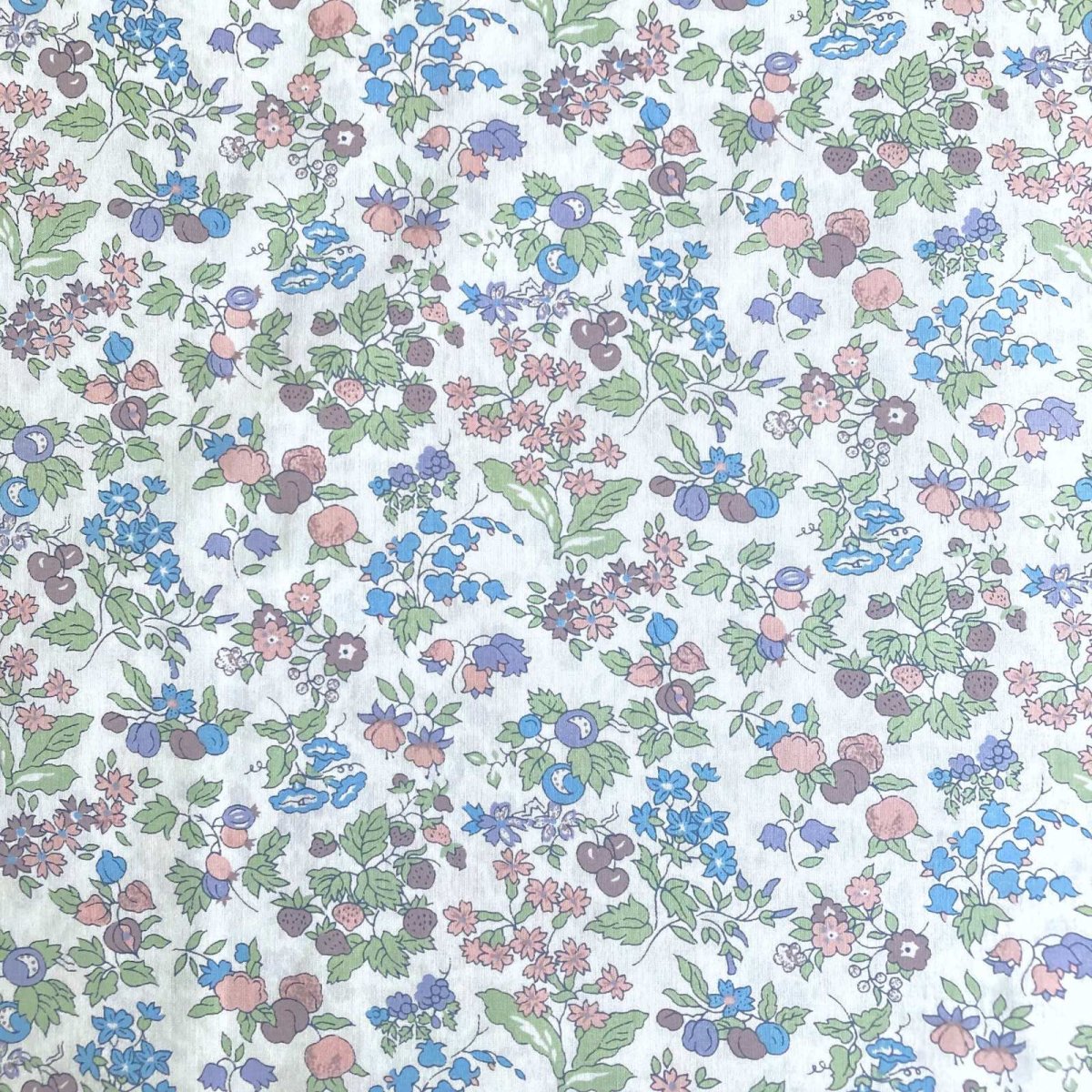 Photo3: Nancy Ann (3)