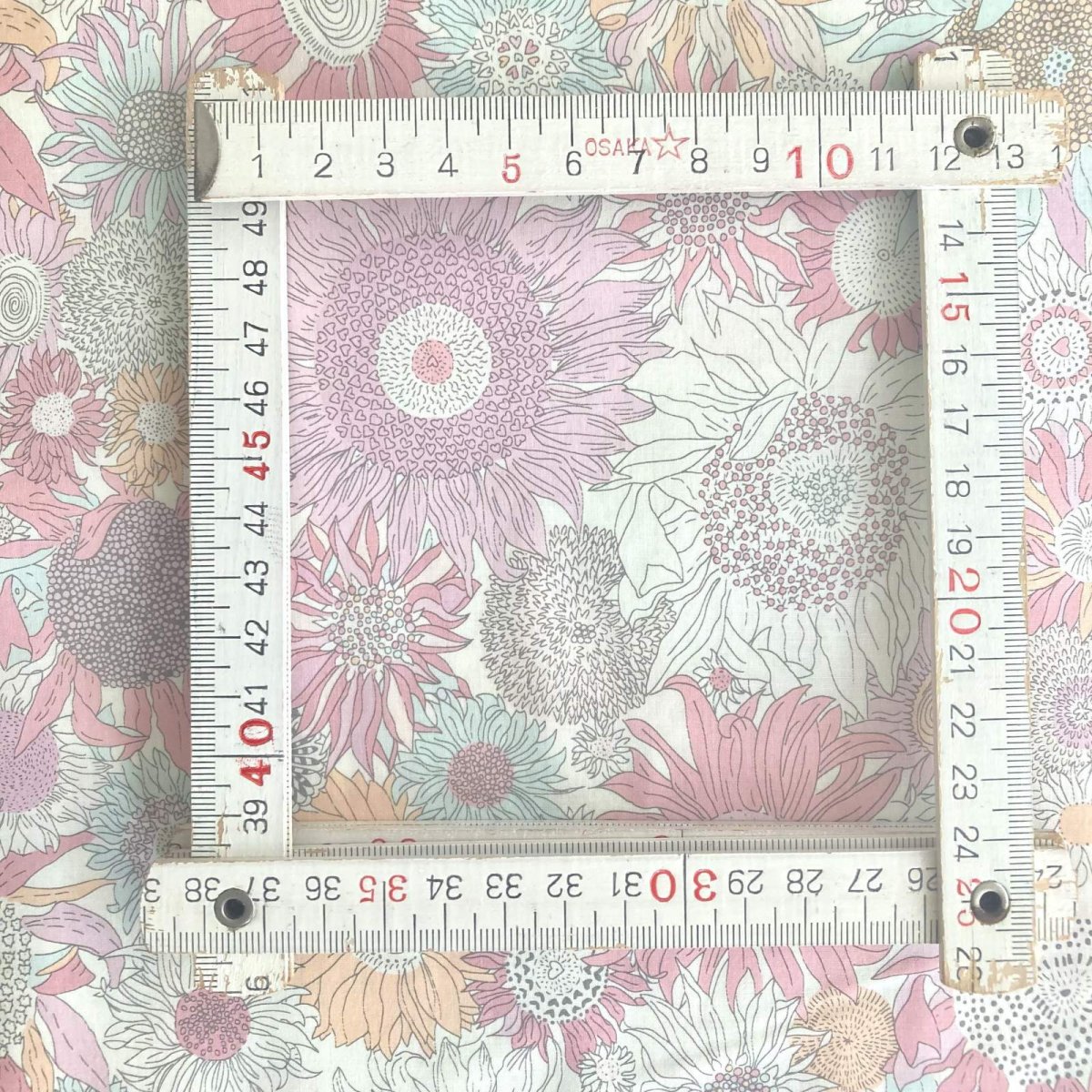 Photo5: Small Susanna (5)