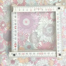 Photo5: Small Susanna (5)