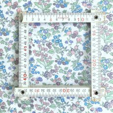 Photo5: Nancy Ann (5)