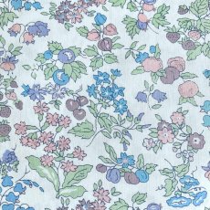 Photo1: Nancy Ann (1)