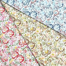 Photo1: Betsy Dot (1)