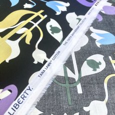 Photo2: Floral Frieze (2)