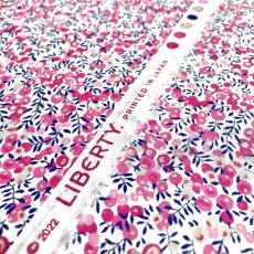 Photo5: Wiltshire Bud (5)