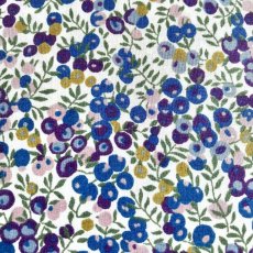 Photo8: Wiltshire Bud (8)