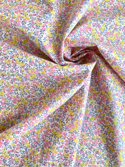 Photo1: Wiltshire Bud