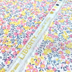 Photo2: Wiltshire Bud (2)