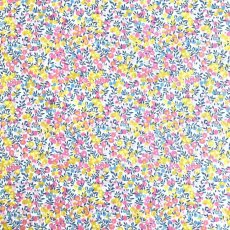 Photo3: Wiltshire Bud (3)