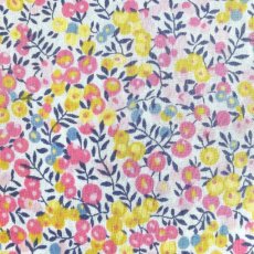 Photo1: Wiltshire Bud (1)