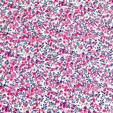 Photo4: Wiltshire Bud (4)