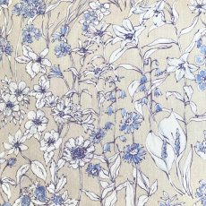 Photo1: Wandervogel (1)