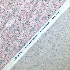 Photo8: Wandervogel (8)