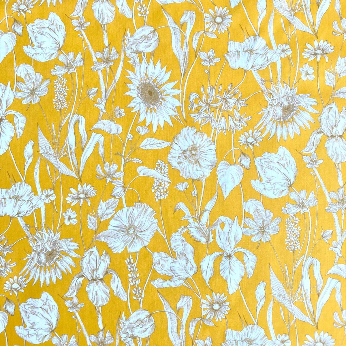 Photo2: Mono Muse (2)