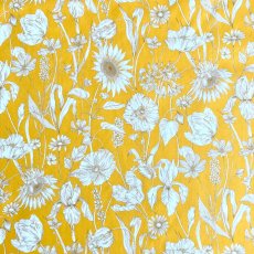 Photo2: Mono Muse (2)