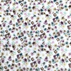 Photo2: Australian Daisy (2)