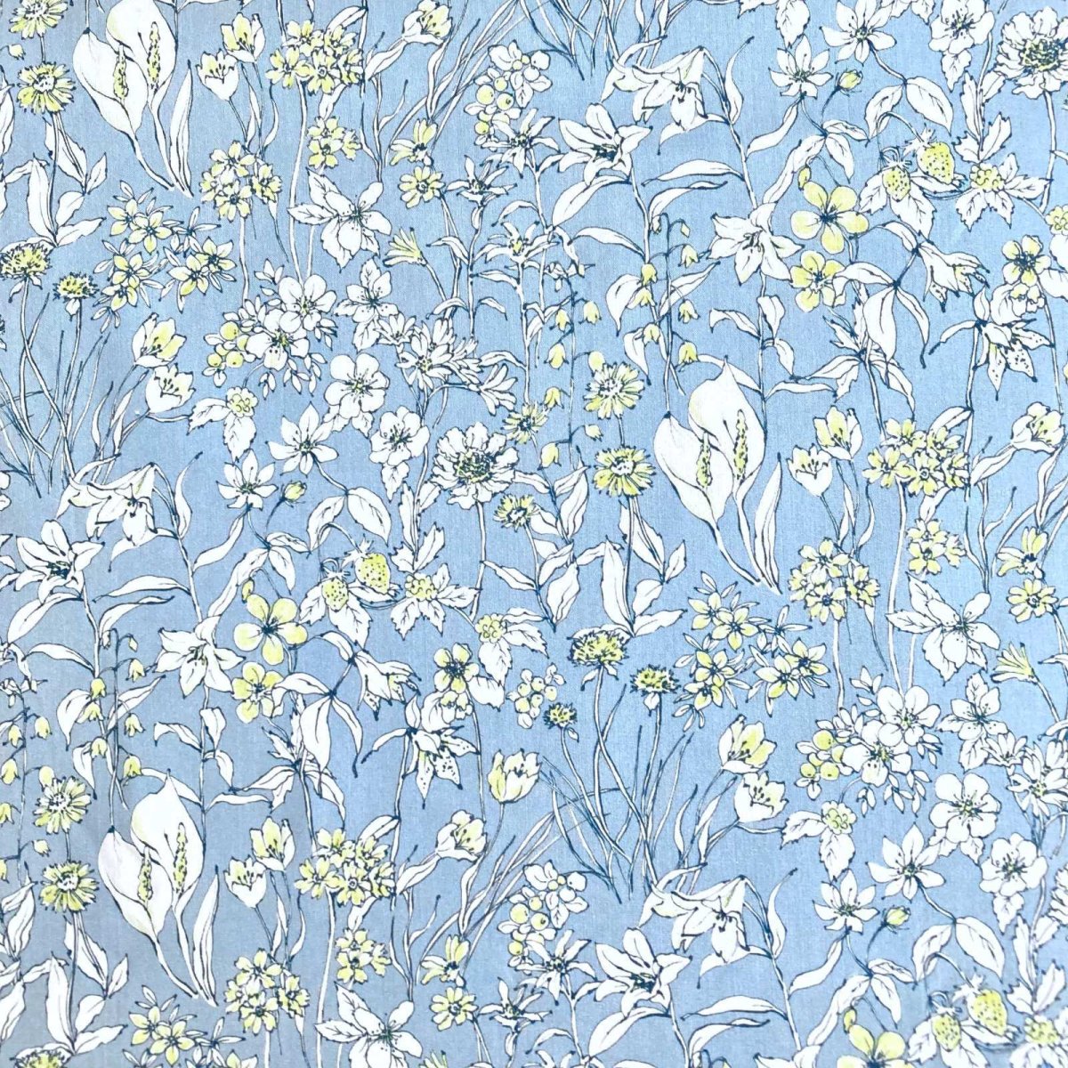 Photo11: Wandervogel (11)