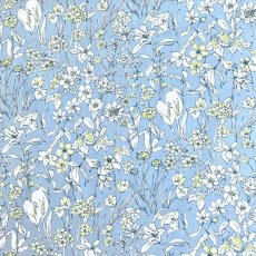 Photo11: Wandervogel (11)