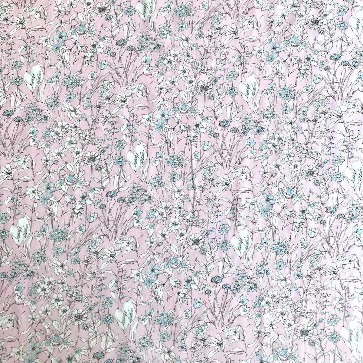 Photo7: Wandervogel (7)