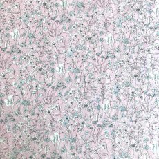 Photo7: Wandervogel (7)