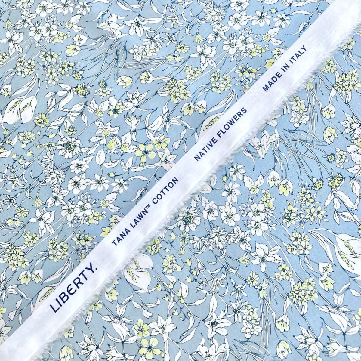 Photo12: Wandervogel (12)