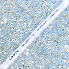 Photo12: Wandervogel (12)