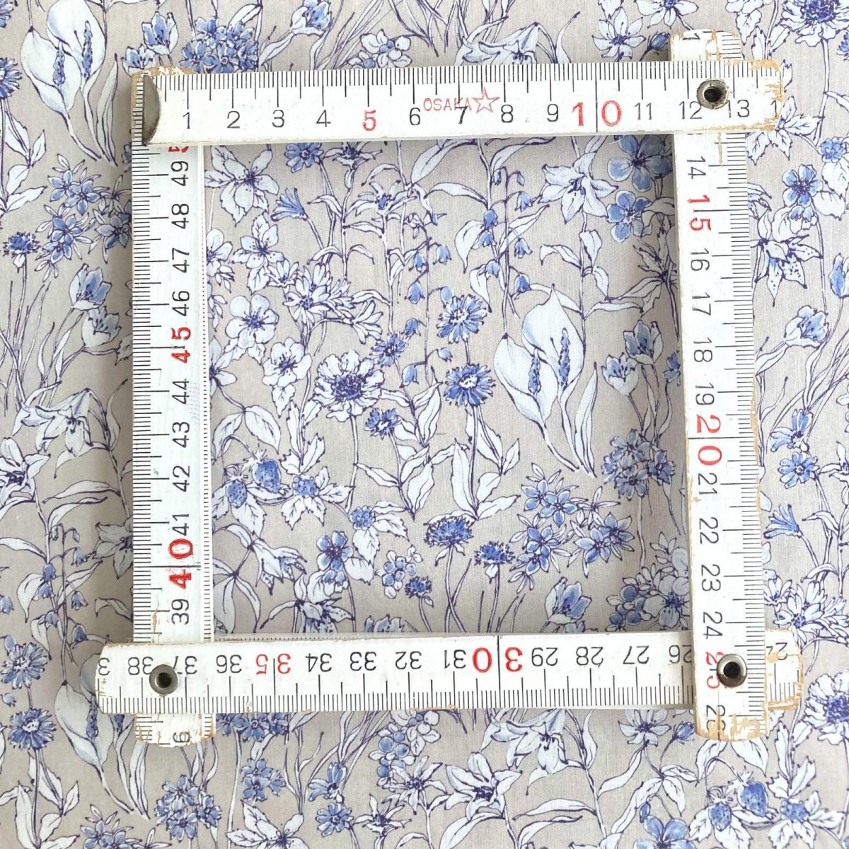 Photo5: Wandervogel (5)