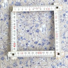 Photo5: Wandervogel (5)