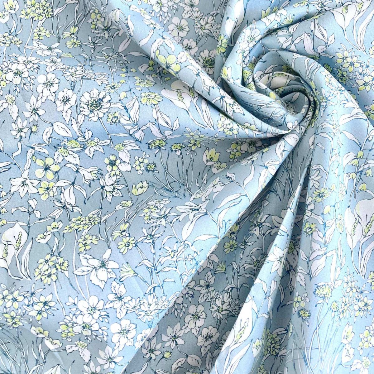 Photo13: Wandervogel (13)