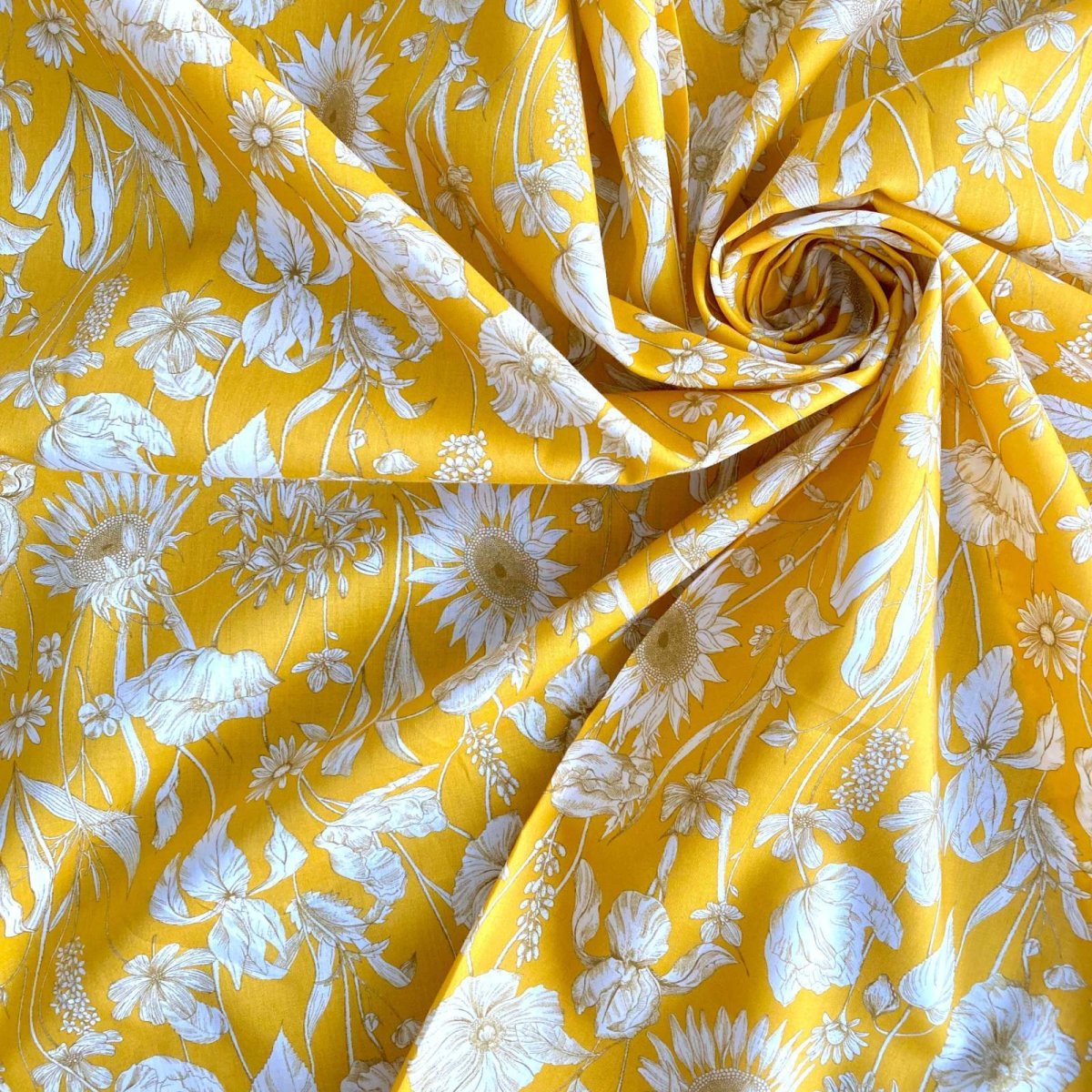 Photo4: Mono Muse (4)