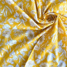 Photo4: Mono Muse (4)