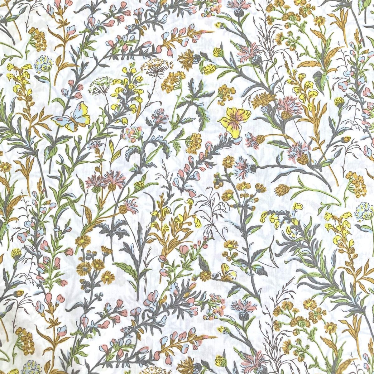 Photo2: Butterfly Meadow (2)