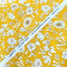 Photo3: Mono Muse (3)