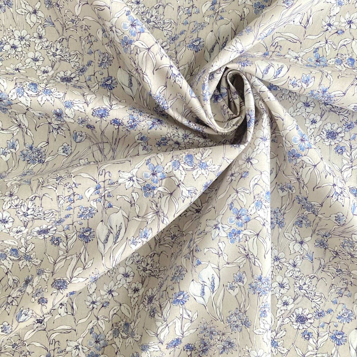 Photo4: Wandervogel (4)