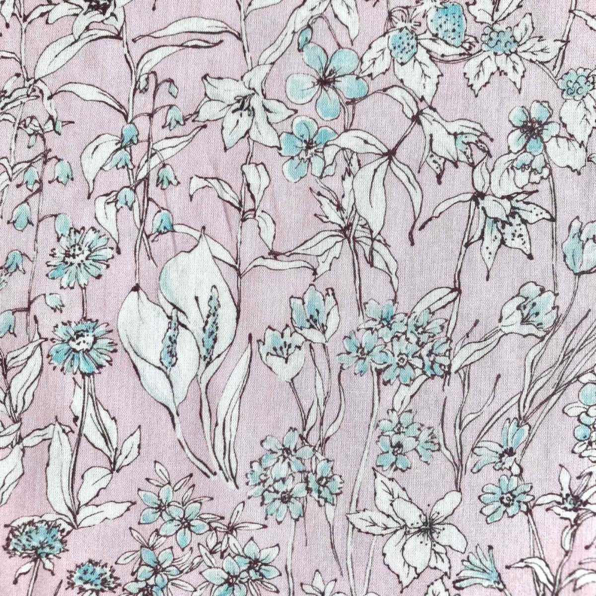 Photo6: Wandervogel (6)