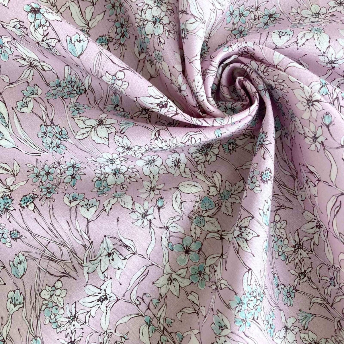 Photo9: Wandervogel (9)