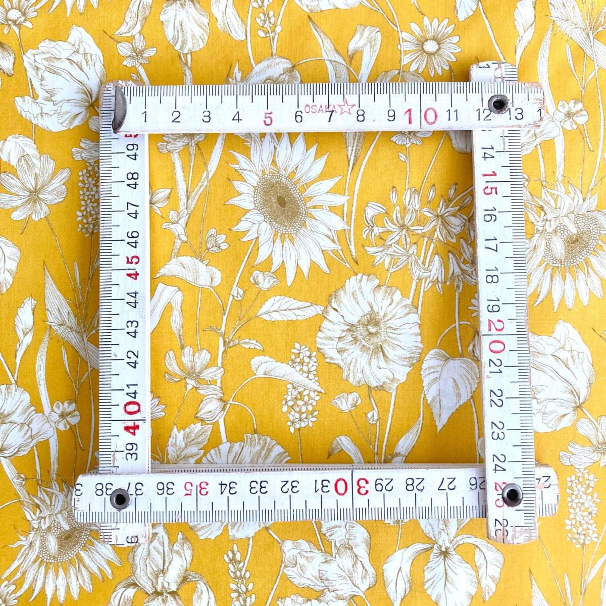 Photo5: Mono Muse (5)