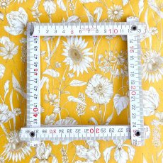 Photo5: Mono Muse (5)